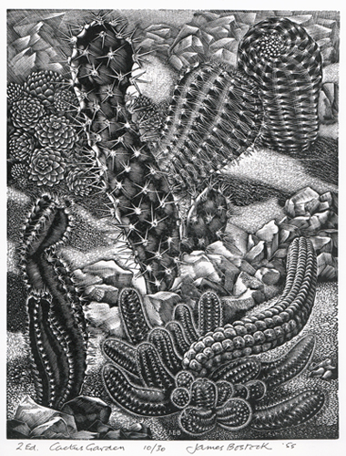 Cactus Garden