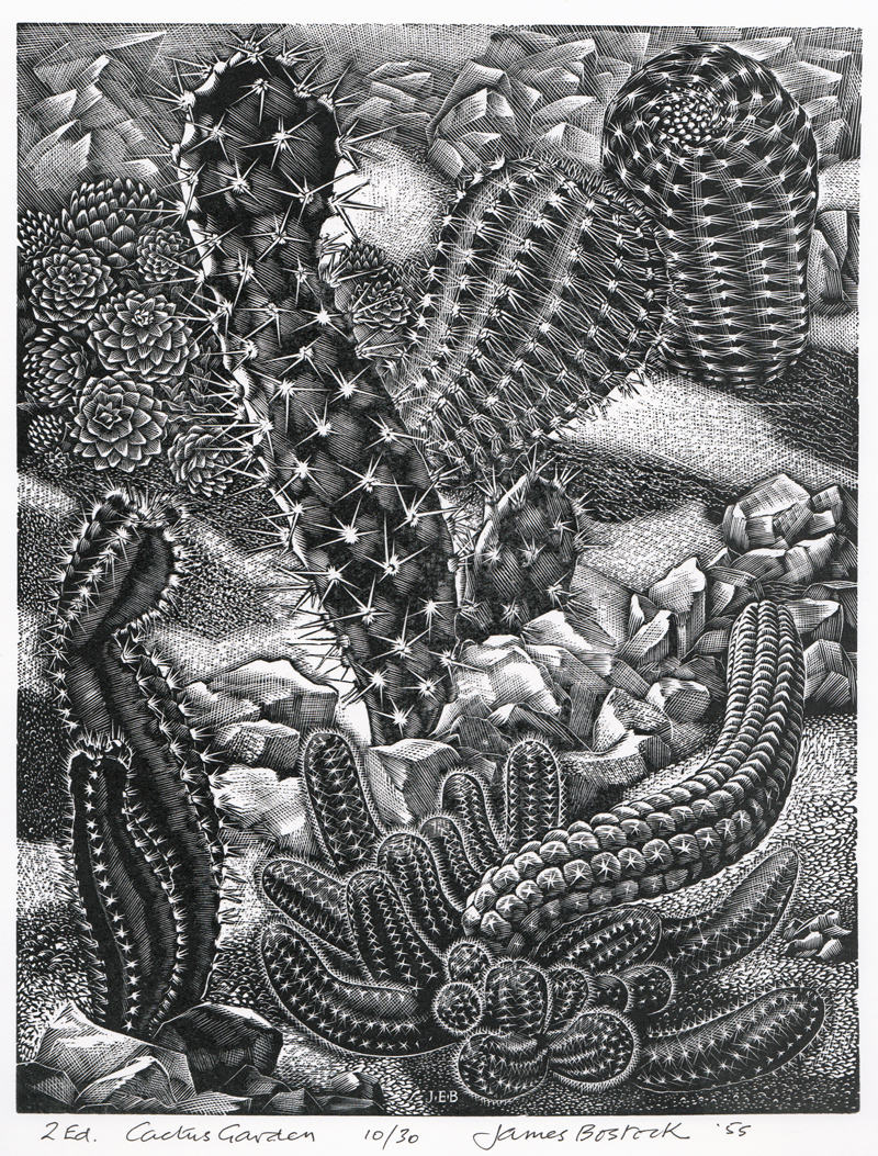 Cactus Garden